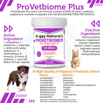 ProVetBiome Plus High Quality Probiotics Supplement Formulation for Cats & Dogs (60 Capsules) Made in U.S.A - NO Refrigeration Required !!