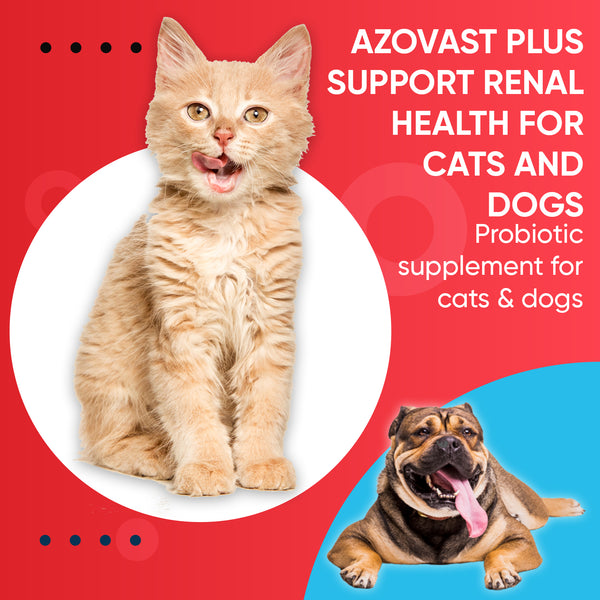 Oral Paste Azovast Plus Kidney Health Supplement for Dogs & Cats, Oral Paste (60 cc) - NO Refrigeration Required-Manage Toxins, Kidney Functions (Chicken Flavor)