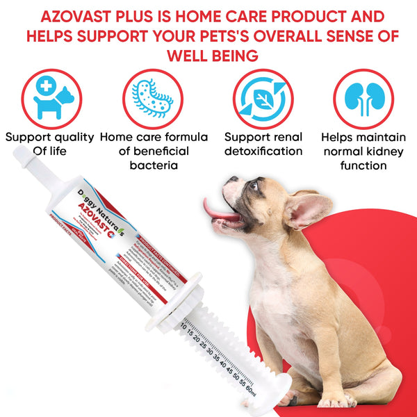 Oral Paste Azovast Plus Kidney Health Supplement for Dogs & Cats, Oral Paste (60 cc) - NO Refrigeration Required-Manage Toxins, Kidney Functions (Chicken Flavor)