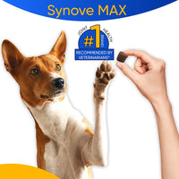 Synove Max Soft Chews for Dogs (240 Count) Beef Flavor, Joint Supplement, Glucosamine, Turmeric, Boswelllia, Creatine for All Ages, Sizes and Breeds
