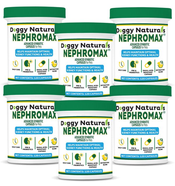 NephroMax Synbiotic Capsules for Kidney Support for Dogs & Cats (120 Capsules) Made In U.S.A